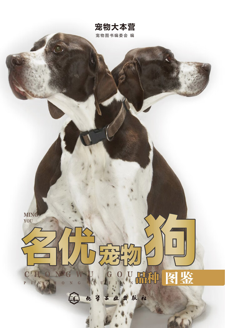 名优宠物狗品种图鉴