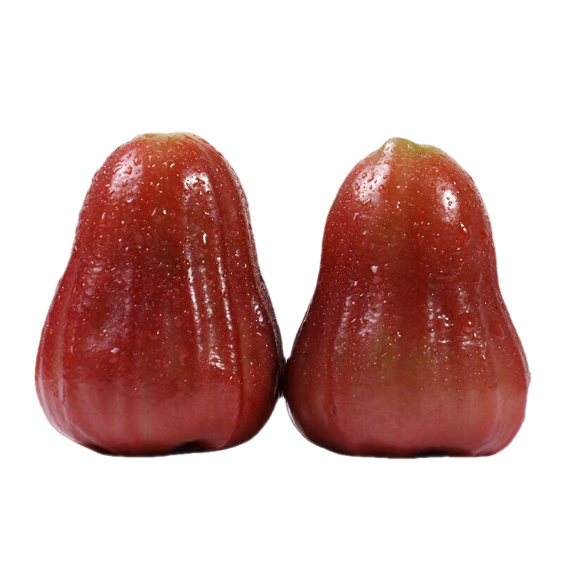 ũ˳ˡǺڽʵȴˮŮ 312-18˳