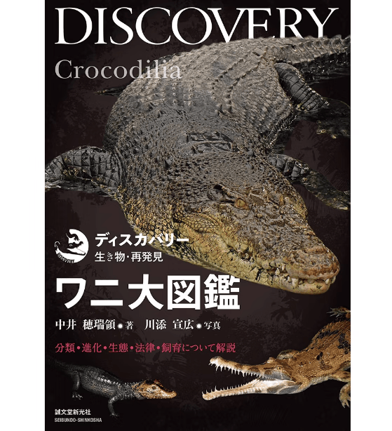现货 日文原版 ワニ大図鑑 鳄鱼大图鉴 誠文堂新光社 中井穂瑞領 鳄鱼分类分布生活史身体体内结构知识大全自然科普书籍