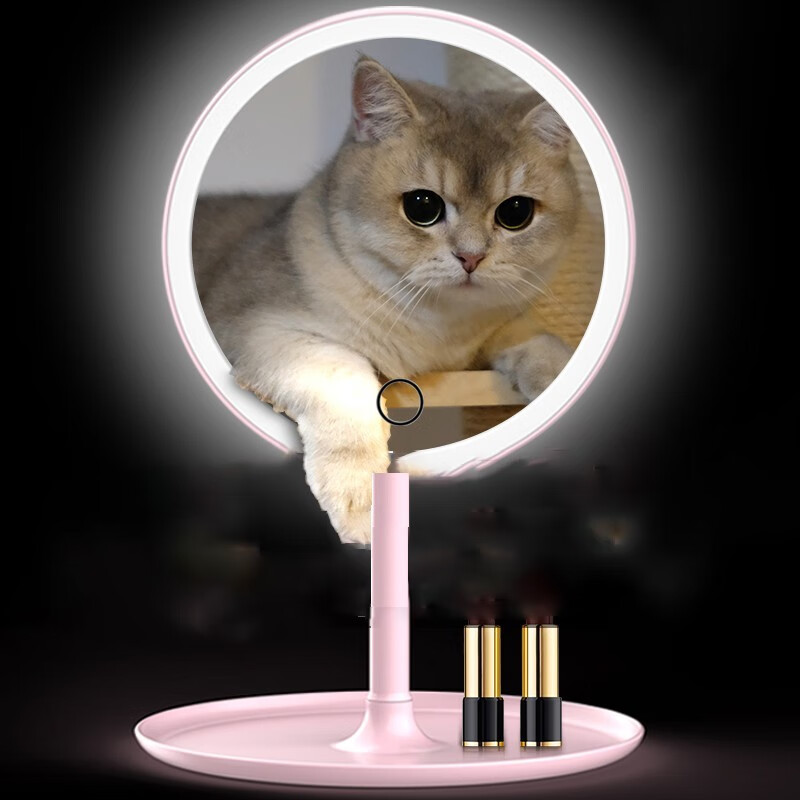 慕质化妆镜带灯台式女补光随身小镜子宿舍桌面折叠便携 白色 (充电