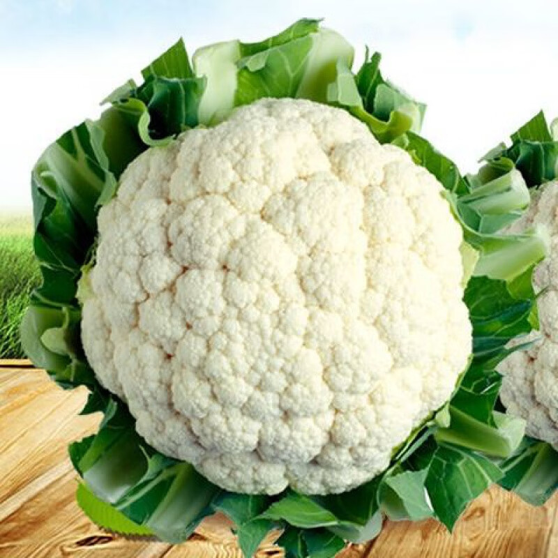 【精选生鲜】新鲜西兰花蔬菜西蓝花白花菜菜花花椰菜农家绿色营养丰富