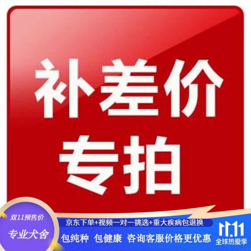 蒂瑞科蒂瑞科蒂瑞科蒂瑞拍前联系客服差额 宠物级怎么看?