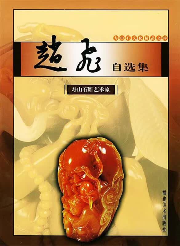 赵飞自选集:图集