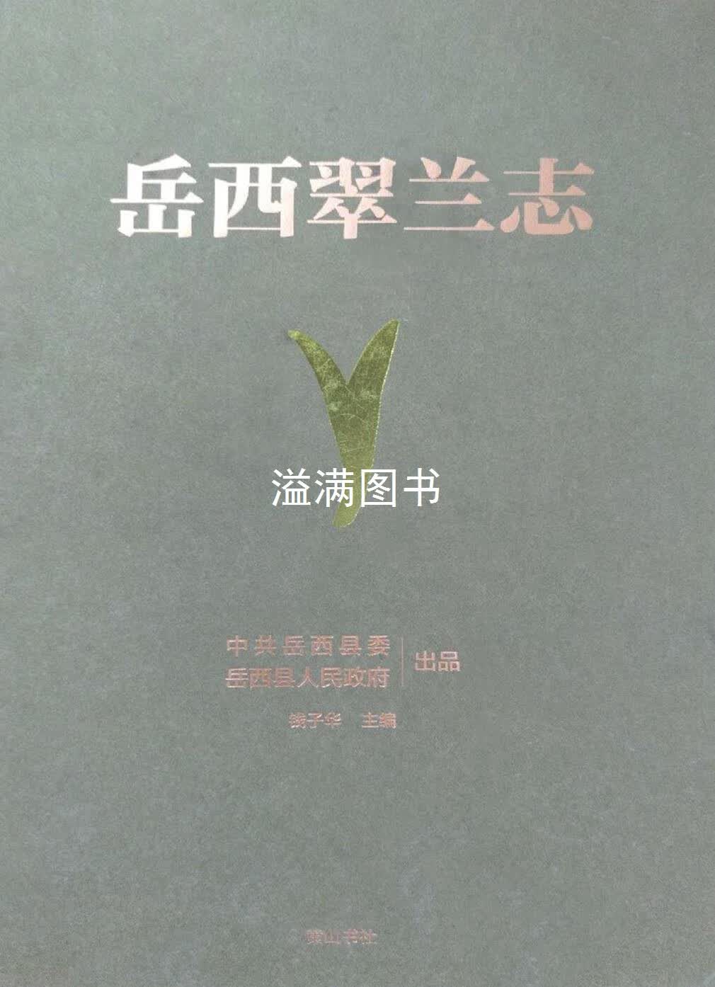 岳西翠兰志 钱子华主编 黄山书社
