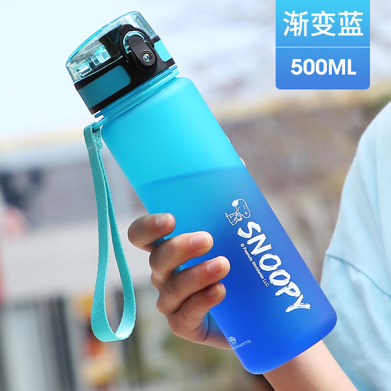 史努比（Snoopy）儿童水杯夏季户外便携大容量耐摔防漏Tritan喝水杯男女小学生一键直饮水杯子500ml蓝6082属于什么档次？