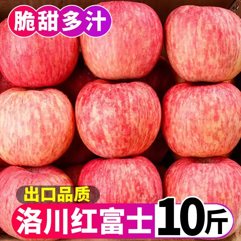 洛川红富士苹果水果新鲜应季脆甜冰糖心整箱 带箱9.5-10斤【出口级】特级果王