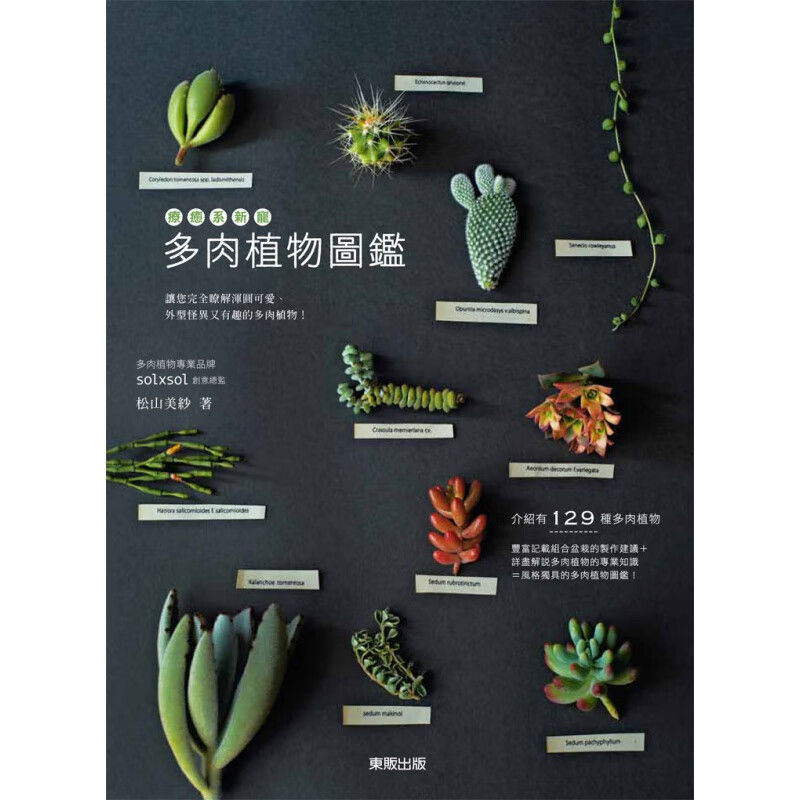 预订台版 疗愈系新宠 多肉植物图鉴129种多肉植物教您如何轻松地种植多肉自然科普