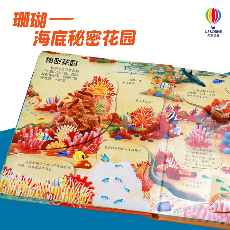 揭秘珊瑚