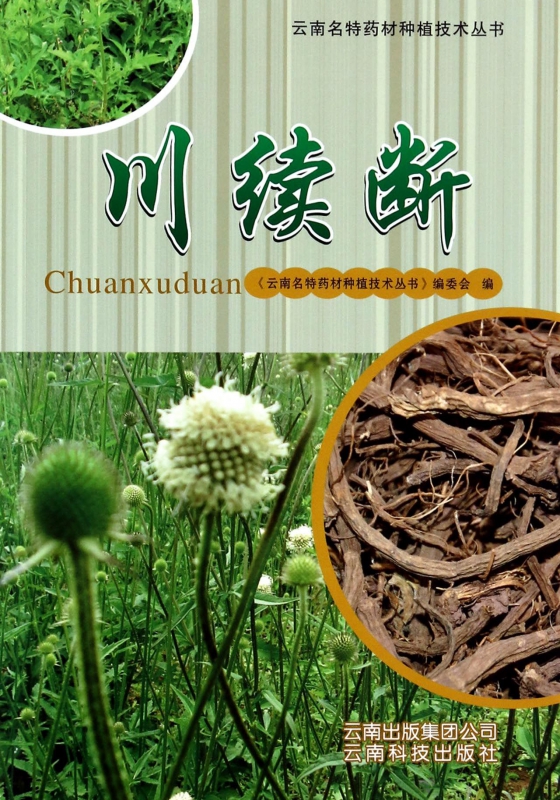 川续断/云南名特药材种植技术丛书