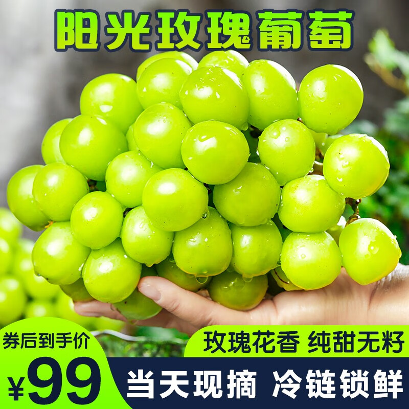 京东超市 2023-07-02 - 第27张 | 最新购物优惠券 京东超市 2023-07-02 - 第27张 | 最新购物优惠券