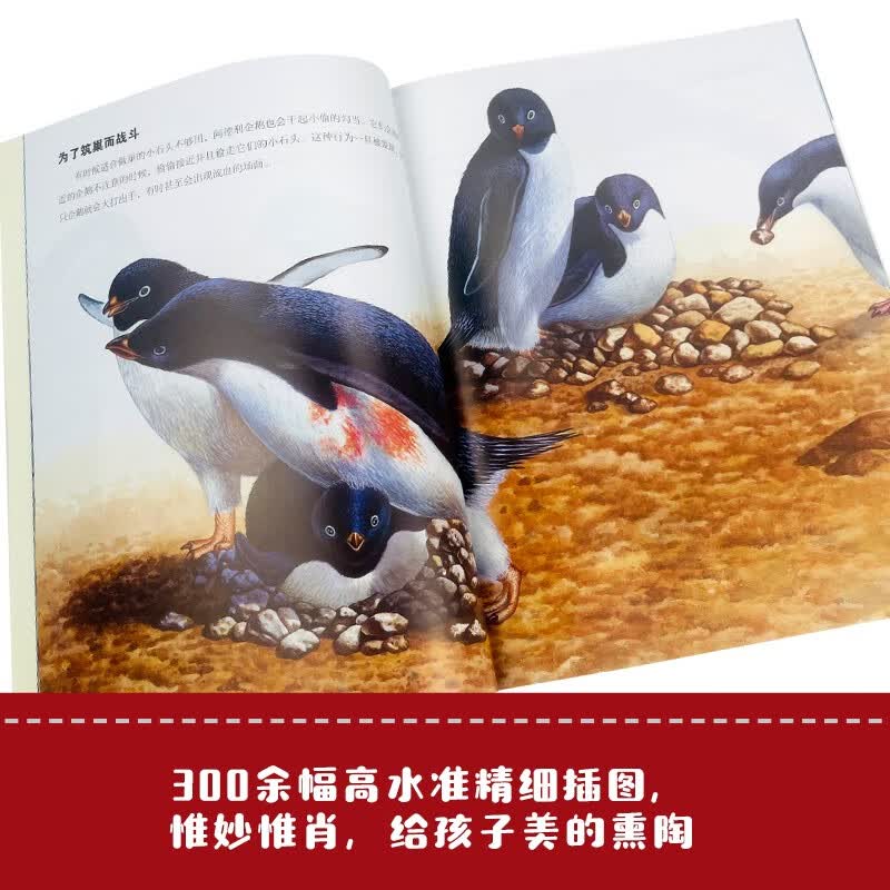 图 6