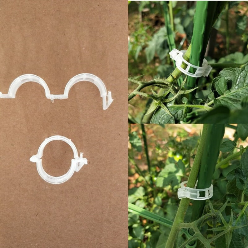 浩胜   固定扣环藤本植物卡扣固定环番茄黄瓜月季铁线莲爬藤植物固定 环扣 100个属于什么档次？