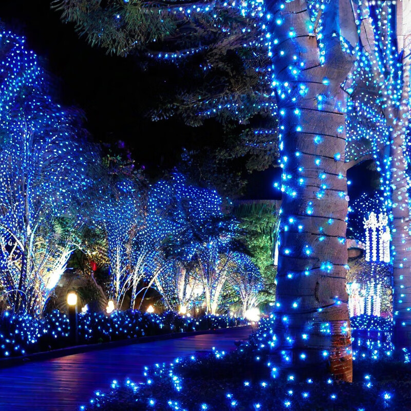 蓝色八种闪动模式防水 10米100灯带尾接-插电