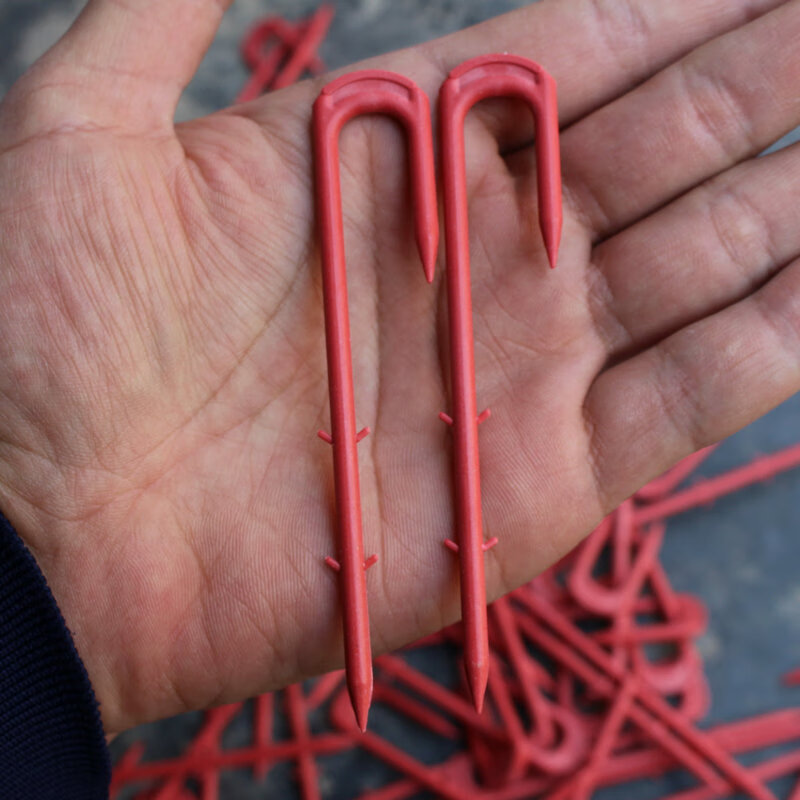 京纯(jingchun)5斤西瓜甜瓜草莓压蔓器卡子塑料红叉子压苗藤蔓植物