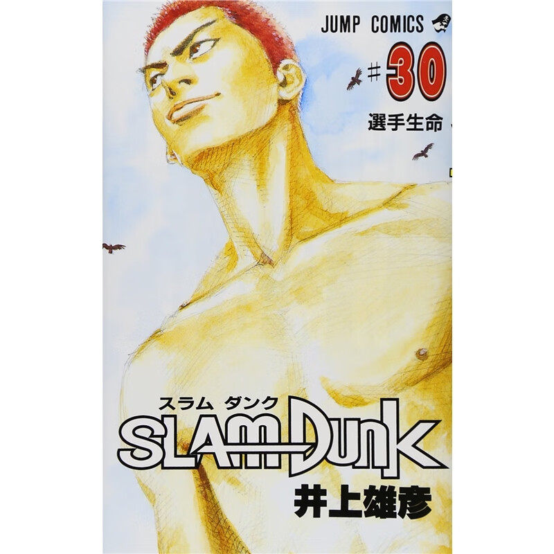 无货灌篮高手 ＳＬＡＭＤＵＮＫ３０