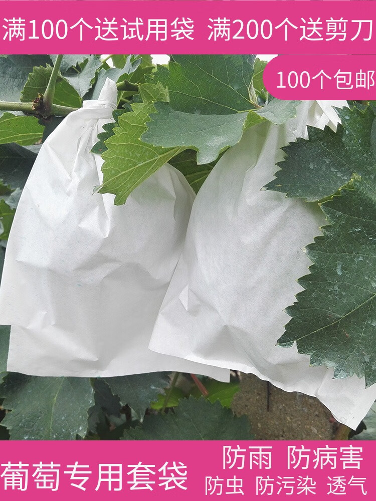 葡萄袋子防虫袋露天葡萄套袋果袋专用套袋防水套葡萄用纸袋育果袋 套