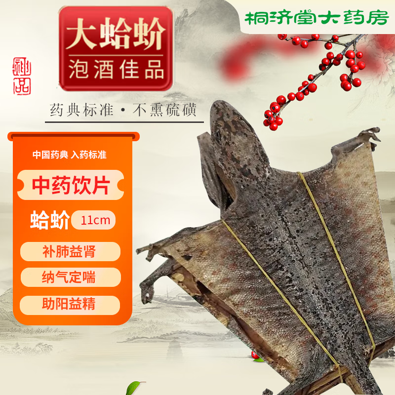 补肺益肾定喘 泡酒 阳痿遗精蛤蚧一对 一对【11cm】泡酒煲汤蛤蚧干 铭