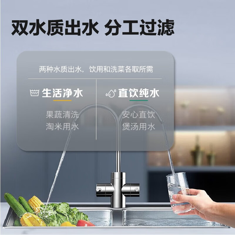 WILO德国威乐厨下净水器 家用净水机800G/1000G 新鲜无陈水 低噪省 RO反渗透 厨下直饮净饮机 RUR603