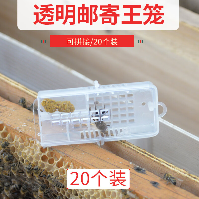 蜂之家塑料透明蜜蜂邮寄囚王笼 多功能王笼 介王储王一体王笼10/20个