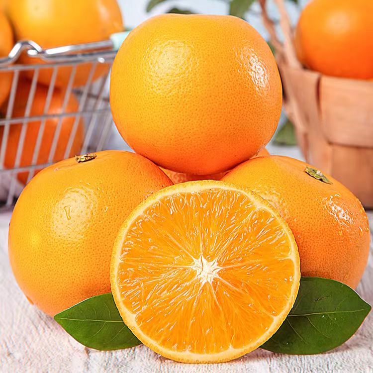 千园九味九月红果冻橙 新鲜水果当季时令应季现摘手剥橙子整箱桔橘子 精选净重5斤单果【60-70mm】