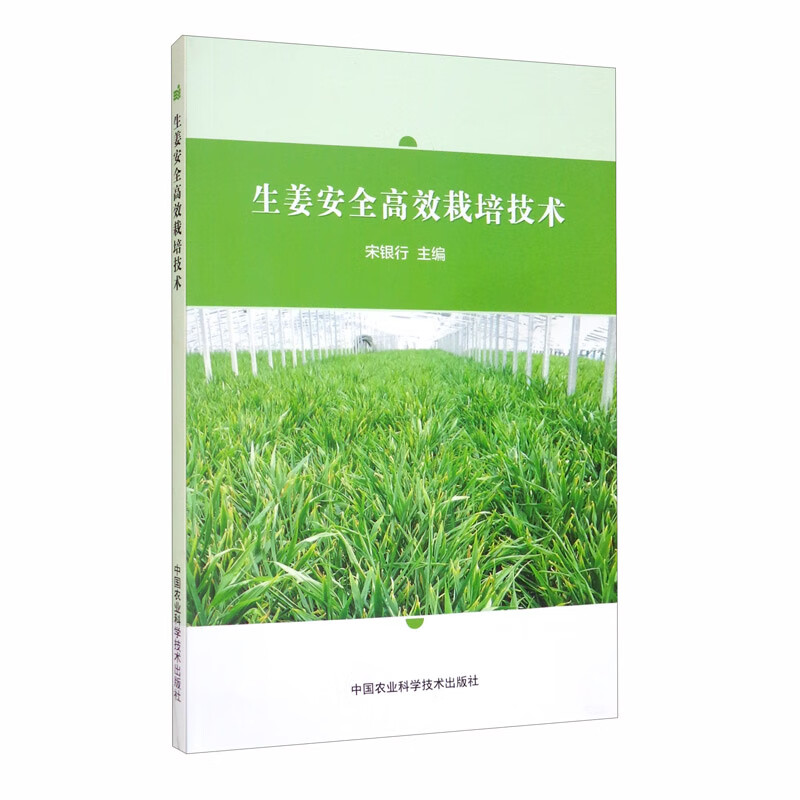 生姜安全高效栽培技术