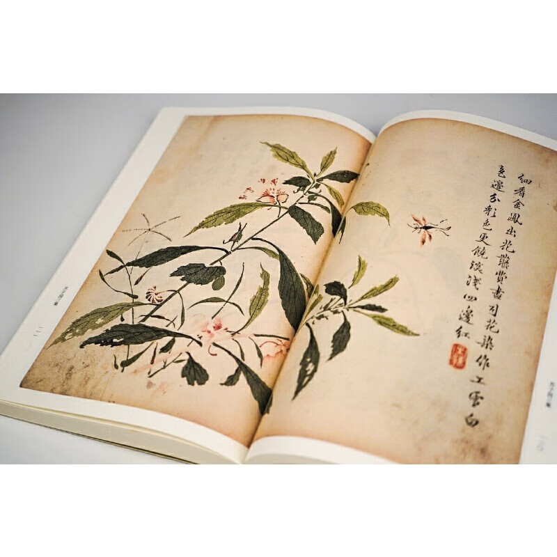 芥子园画传(共3册康熙版原大全彩)(精)