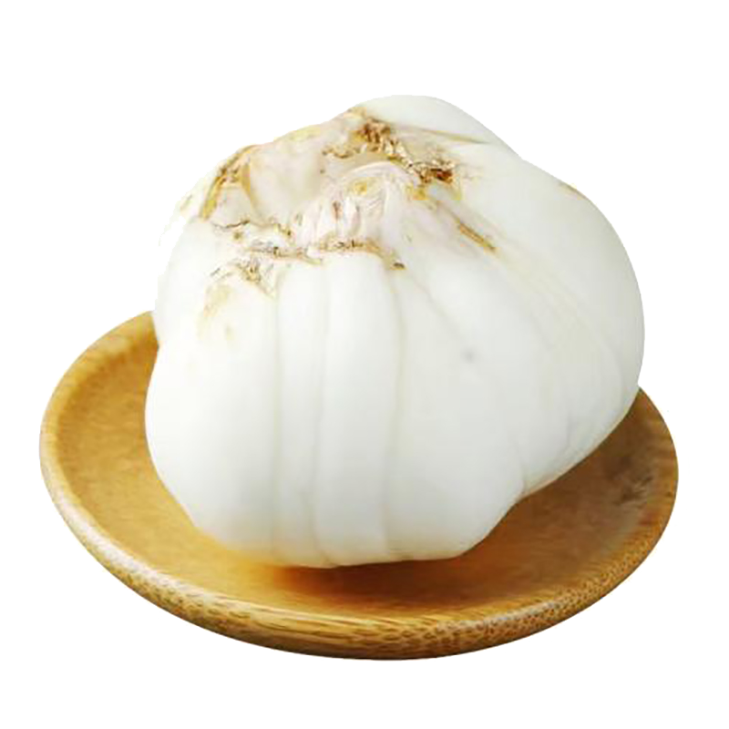 千園九味甘肅特產(chǎn)蘭州鮮百合 現(xiàn)挖新鮮蔬菜食用甜百合 鮮百合片5碗嘗鮮