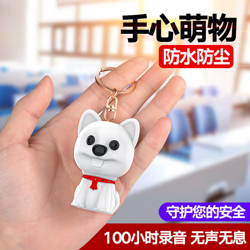录音笔什么牌子好(录音笔录音笔有哪些品牌)