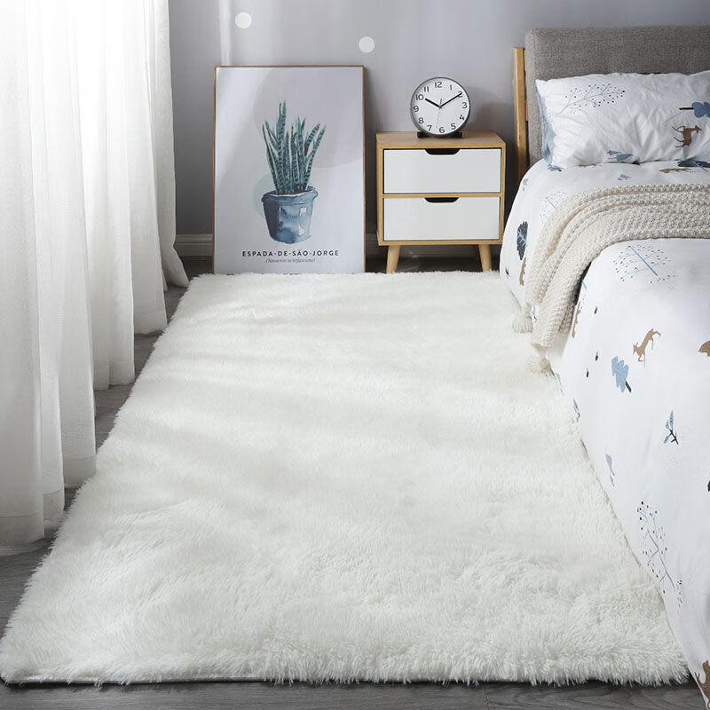 渐变色家用地毯床边毯卧室满铺地毯茶几垫长毛个性网红地毯 色白色 可定做(报尺寸算价格)