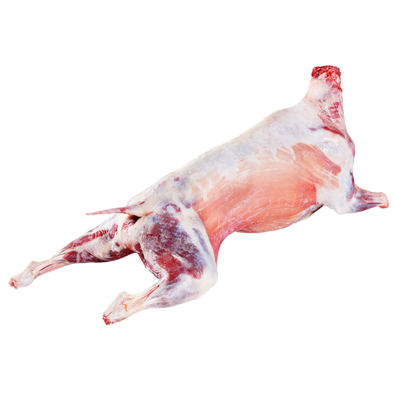 ���ڲ������ٺ������̲�������� ��������30��ȫ����ֻ���������� Դͷֱ��