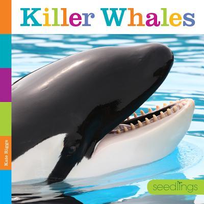 预订Killer Whales