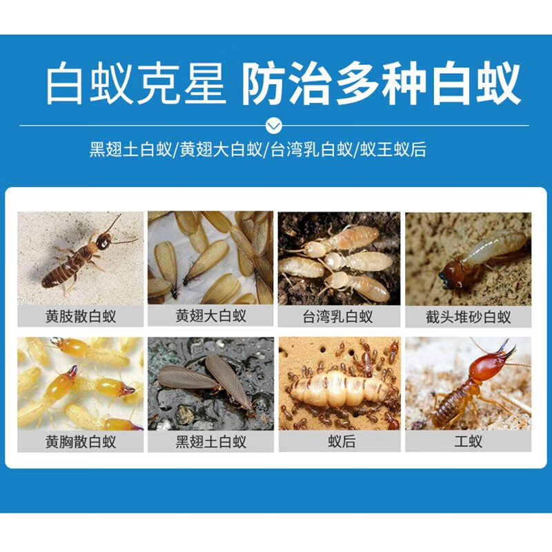大功达(DAGONGDA)白蚁药木材杀白蚂蚁药粉神器家用预防白蚁杀虫剂诱杀飞蚂蚁粉喷粉 1瓶装