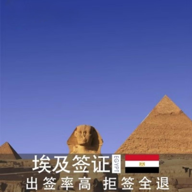 埃及电子签落地签担保信邀请函旅游商务签证可加急专人指导 单次电子
