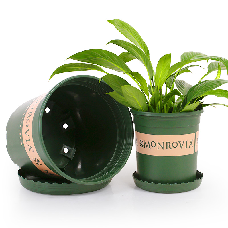 柯必达环球加仑花盆树脂塑料花盆 阳台种花种菜多肉月季花盆 2加仑盆