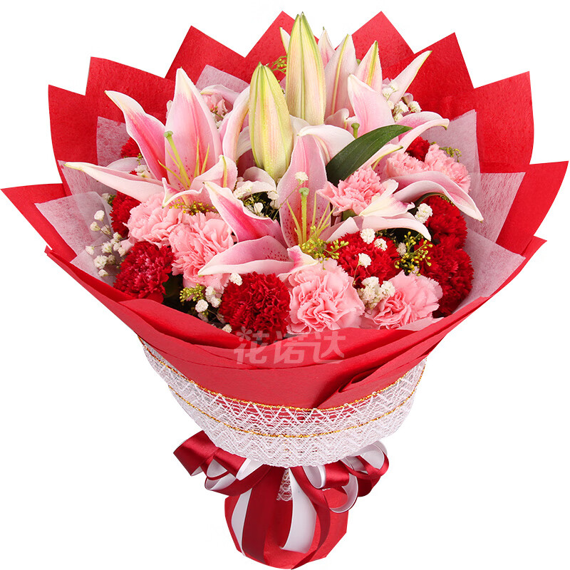 成都西安花束郑州同城鲜花速递日达康乃馨