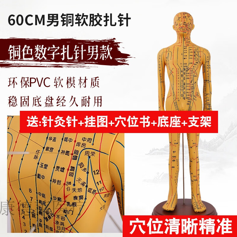 针灸人体模型 针灸穴位人体模型全身中医十二经络图铜人模特图可扎针