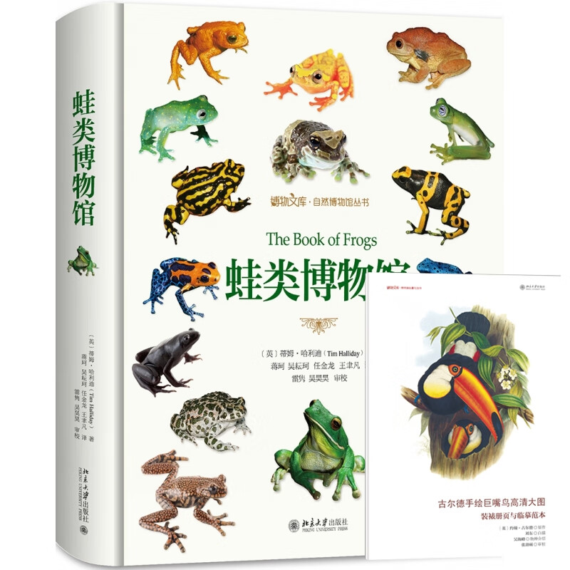蛙类博物馆+古尔德手绘巨嘴鸟高清大图