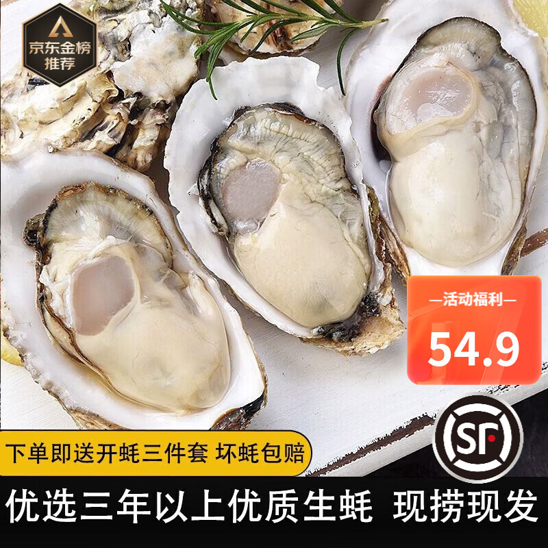 贝类历史价格价格查询|贝类价格走势