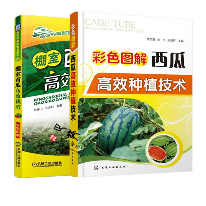 棚室西瓜高效栽培+彩色图解西瓜高效种植技术 西瓜种植栽培技术大全书籍 育苗育种教程 大棚种西瓜技术