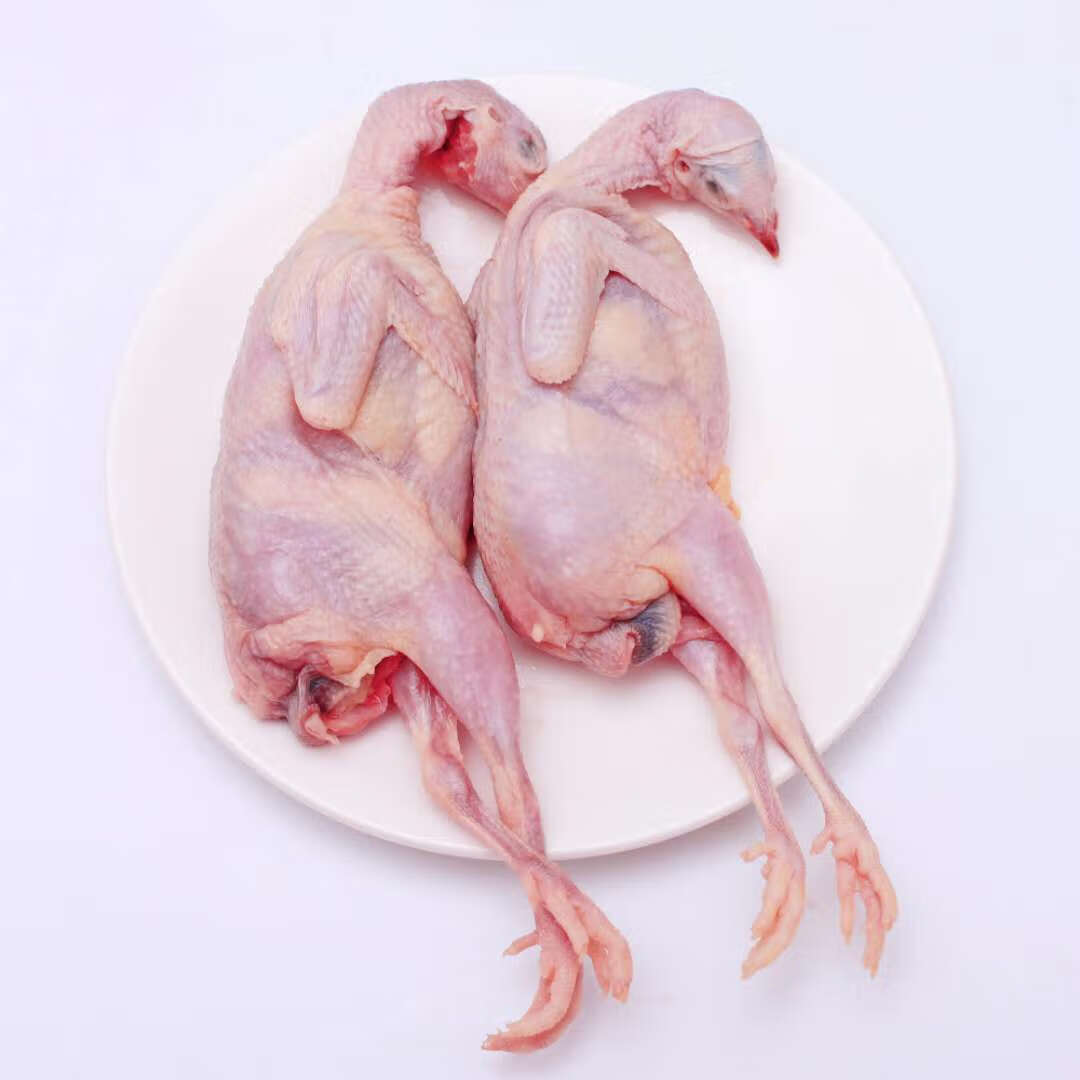 新鲜鹌鹑肉热销榜