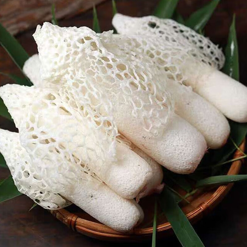 味觉素材【2024新鲜上市】竹荪菌新鲜竹荪高原特产食用菌火锅煲汤菌菇