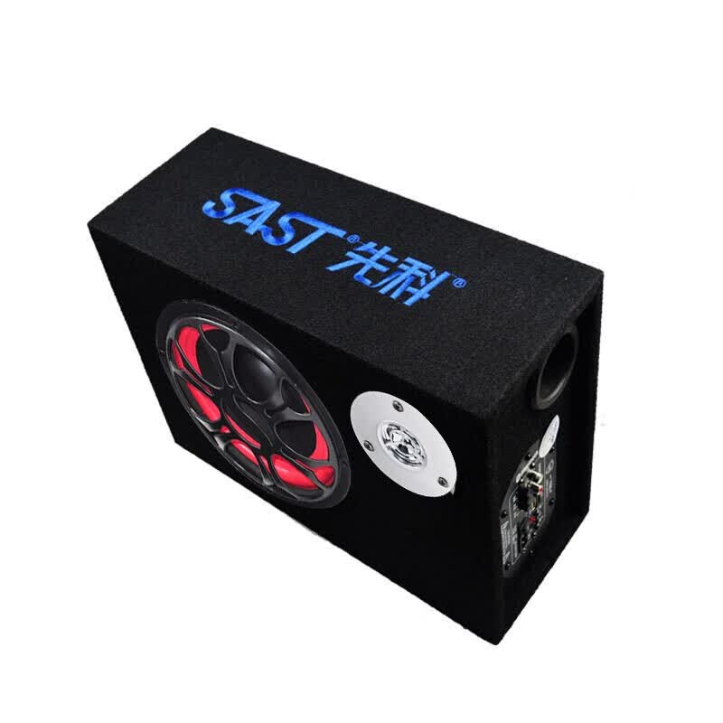先科(SAST)便携式蓝牙车载低音炮音箱12v/24v/220v大功率音响支持插卡U盘收款摩托车汽车功放圆柱/隧道/方型 方型 10英寸低音炮