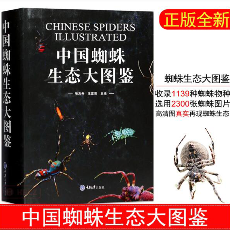 中国蜘蛛生态大图鉴 昆虫图鉴蜘蛛学蜘蛛生态识别 蜘蛛知识档案书动物百科 71科种类达1139种蜘蛛图