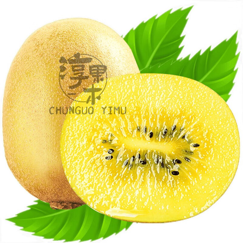 淳果一木 黄心猕猴桃 10个大果 单果约90-105克金果奇异果新鲜生鲜水果
