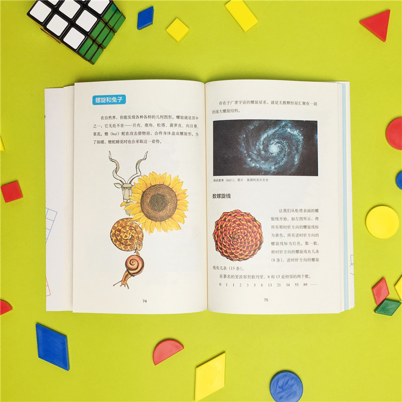 太喜欢了！数学（爱心树童书）暑假阅读暑假课外书课外暑假自主阅读暑期假期读物详情图