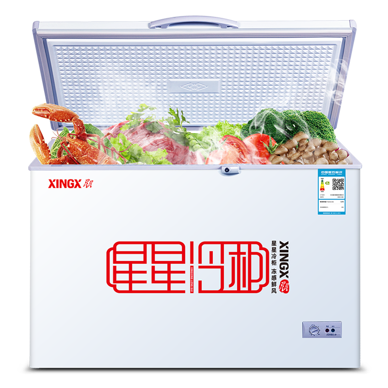 ǣXINGX 355 ± ± 䶳ת ϵ籣  BD/BC-355E