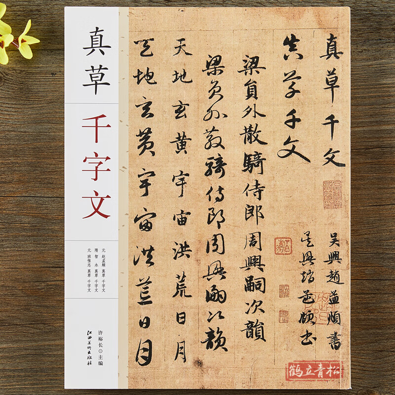 真草千字文 赵孟頫智永班惟志真草千字文 毛笔书法草书字帖附简体旁注