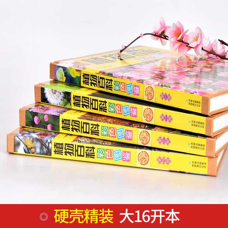植物百科（套装共4册 彩色图鉴）详情图