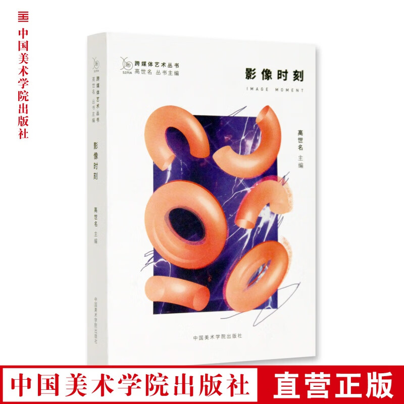 跨媒体艺术丛书《影像时刻》定价:48 高世名 主编 中国美术学院 正版品牌直销 满58包邮