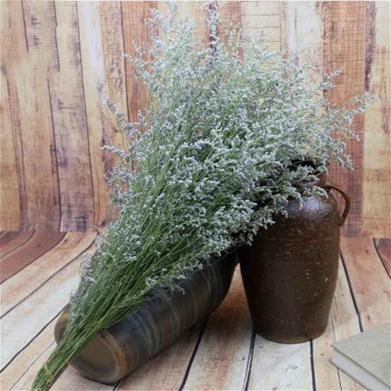 苏茂 天然情人草干花花束真花情人节干草家居摆设拍摄道具 diy花艺